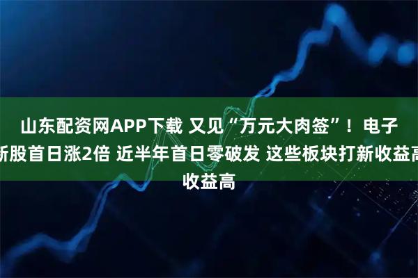山东配资网APP下载 又见“万元大肉签”！电子新股首日涨2倍 近半年首日零破发 这些板块打新收益高